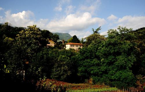 Sezze Cama Y Desayuno | COUNTRY HOUSE