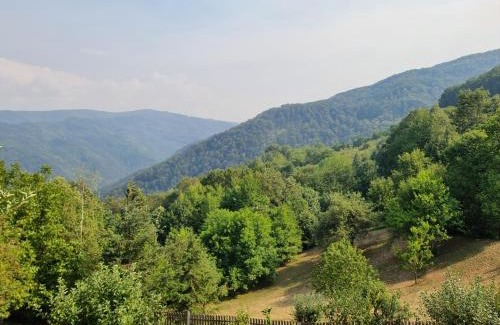 Central Serbia Apartamento | Country House Sunčev breg