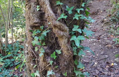 Argencola Casa | Masía rodeada de campos de cultivo