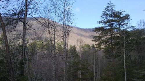 Asheville Casa | Country Log Cabin-15 min to Asheville