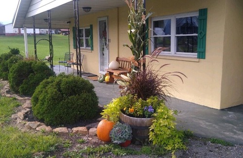Brandonville Cabaña | Country Roads Cottage w/ fenced in yard close to state forests and WVU!