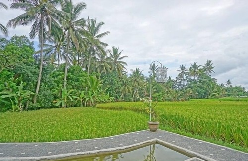 Kutuh Kaja Villa | Villa de estilo rústico y vistas a Ricefield!