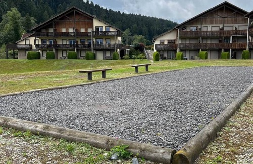 Gerardmer Apartamento | "Coup de Cœur " Apartment - Chalet