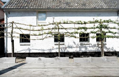 Maastricht Casa | Cour 8 Lofts