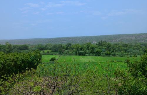 Faridabad Complejo | Courtyard by Marriott Aravali Resort