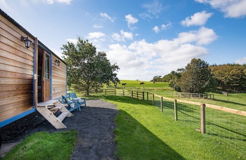 Bowsden Cabina | COW PARSLEY SHEPHERD'S HUT, cerca de Berwick upon Tweed - capacidad para 4 personas con Wi-Fi