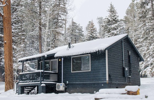Greer Cabina | Cowgirl Cabin (Aspen 3)