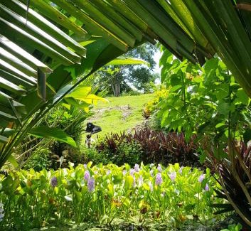 Orange Bay Casa | Coyaba private hilltop jungle retreat