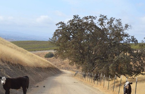 San Miguel Casa | Coyote Flats