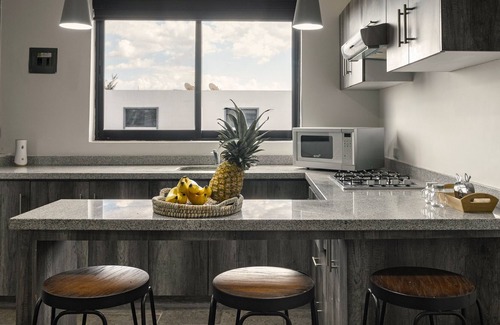 Aguascalientes Apartamento | Coyotes Housing Services