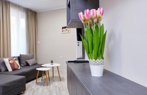 Plovdiv Center Apartamento | Cozy 1-bed Apartment 2