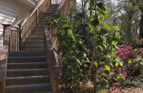 Tallahassee Apartamento | Cozy 1-bedroom apartment. Perfect for FSU parent visits!
