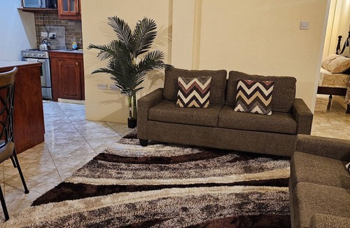 Brighton Apartamento | Cozy 1-bedroom apartment in awesome Brighton Unit 205 with AC, WiFi