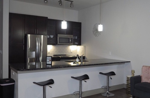 East Downtown Houston Apartamento | Cozy 1-bedroom apartment in beautiful Downtown Houston with WiFi,