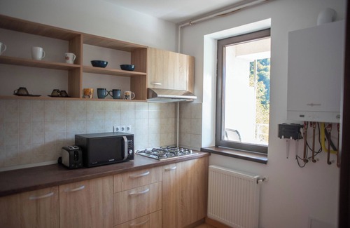 Sinaia Apartamento | Cozy 1-bedroom apartment in beautiful Sinaia with WiFi