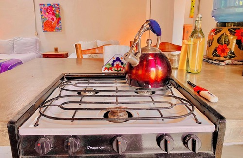 Todos Santos Hotel | COZY 1BR/POOL ACCESS/PET-FRIENDLY COASTAL STAY