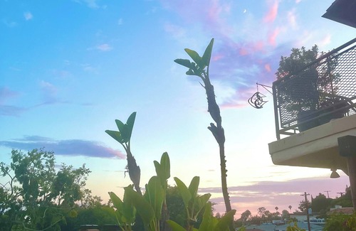 Pacific Palisades Apartamento | Cozy 2 Bedroom Beach Bungalow - Pacific Palisades