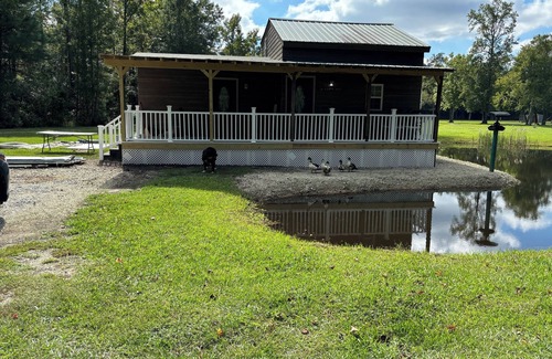Jacksonville Cabina | Cozy 2 bedroom pet friendly cabin in great location with all the extra's