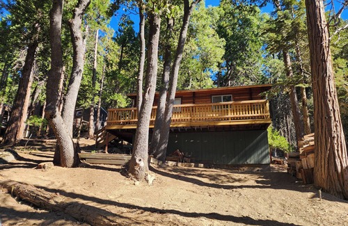 Alta Sierra Cabina | Cozy 2-bedroom Cedar cabin in charming Sequoia National Park with WiFi