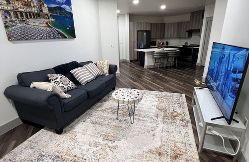 Addison Apartamento | Cozy 2- bedroom with Smart TV’s, AC, WiFi, huge pool in amazing Area of Addison