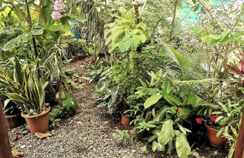 Manuel Antonio Apartamento | Cozy "ALMENDRO" Apartment at MANUEL ANTONIO/4 People