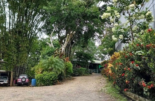 Manuel Antonio Apartamento | Cozy "ALMENDRO" Apartment at MANUEL ANTONIO/4 People