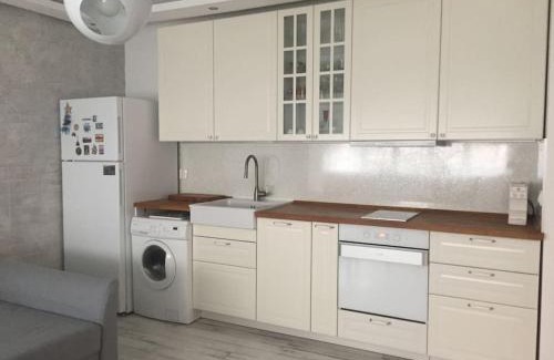 Sofia Apartamento | Cozy and modern apartment Krasno selo, free parking