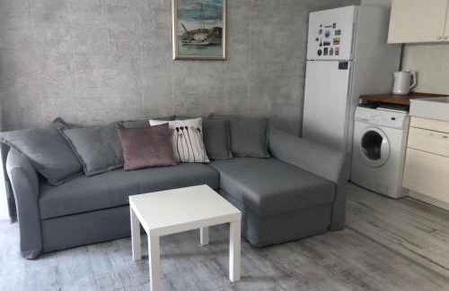 Sofia Apartamento | Cozy and modern apartment Krasno selo, free parking