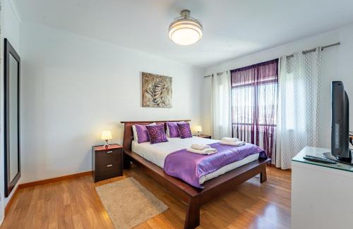 Oliveira do Douro Apartamento | Cozy and Quiet Spacious Flat