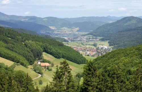 Villingen-Schwenningen Apartamento | Cozy Apartment in Schwenningen with Garden