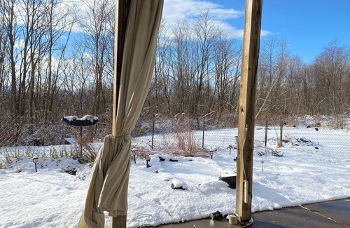 Exeter Apartamento | Cozy apartment attached to Pa Game-lands, birdwatching wildlife