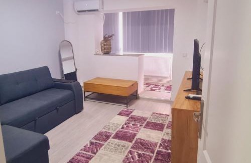 Bacau Apartamento | Cozy Apartment Central II
