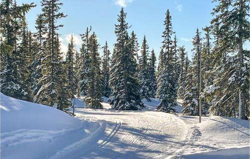 Lillehammer Apartamento | Cozy Apartment In Lillehammer With Wifi
