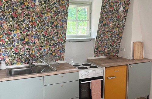 Sigmaringen Apartamento | Cozy apartment in the Villa Laur (pet-friendly)