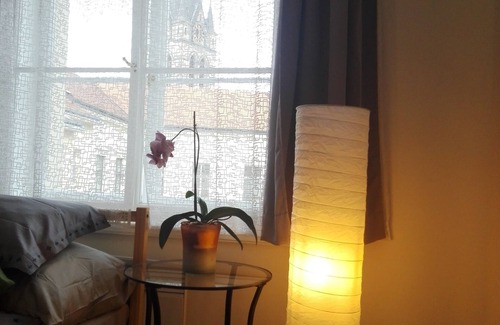Zizkov Apartamento | APARTAMENTO COSY NEJEDLEHO