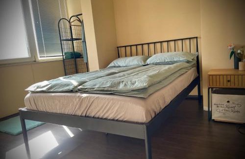 Sofia Apartamento | Cozy APT Free Parking Wi-Fi Netflix
