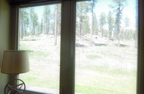 Custer Cabina | Cozy Black Hills cabin on Horse Camp grounds