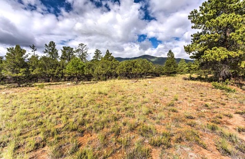 Buena Vista Apartamento | Cozy Buena Vista Apartment Less Than 4 Mi to Main Street!