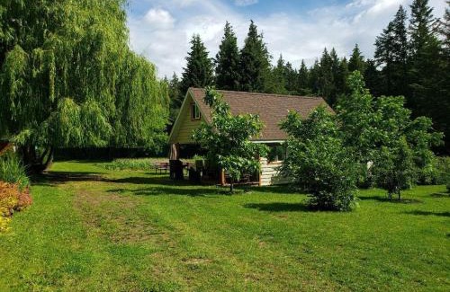Tappen Chalet De Esquí | Cozy Cabin, 2 min to the HWY1