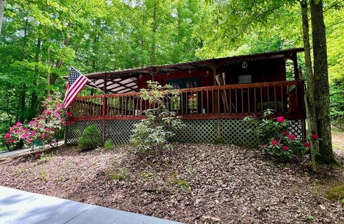 Rogersville Cabina | Cozy cabin getaway close to hiking, skiing, sightseeing, and Bristol!