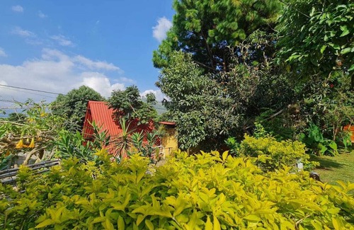 San Juan del Obispo Cabina | Cozy Cabin at San Juan del Obispo - Casa Jardin De Julia