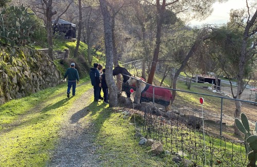 Three Rivers Cabina | Cozy cabin in charming Three Rivers 4 miles from Sequoia National Park entrance.
