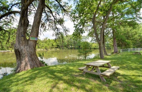 Ingram Cabina | Cozy cabin in charming Ingram with AC, WiFi~Guadalupe River