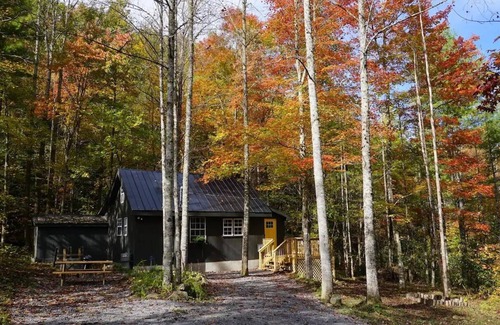 Del Rio Cabina | Cozy cabin in the Cherokee National Forest.