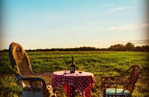 West Perth Cabina | Cozy Cabin in the Country (Pet-Friendly!)