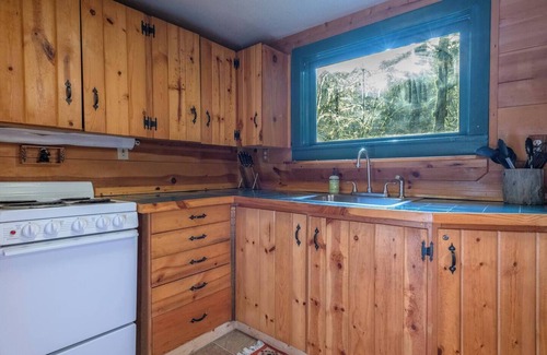 Rhododendron Cabina | Cozy Cabin near Mt Hood with Hot Tub