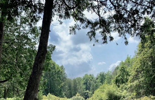 West Grey Cabina | Cozy cabin on a river with an outdoor wood burning sauna and firepit