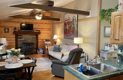 Royal Pines Cabina | Acogedora cabaña FUERA DE ASHEVILLE. MOUNTAIN VIEW / PET FRIENDLY / WIFI DISPONIBLE