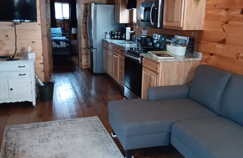 Ashtabula Cabina | Cozy cabin with views of Lake Erie and colorful sunsets!