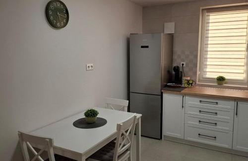 Sfantu Gheorghe Apartamento | Cozy Central Apartment